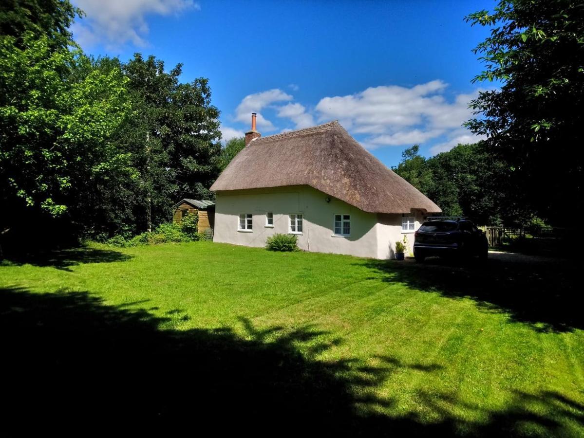 Honeysuckle Cottage Dorchester Exteriör bild