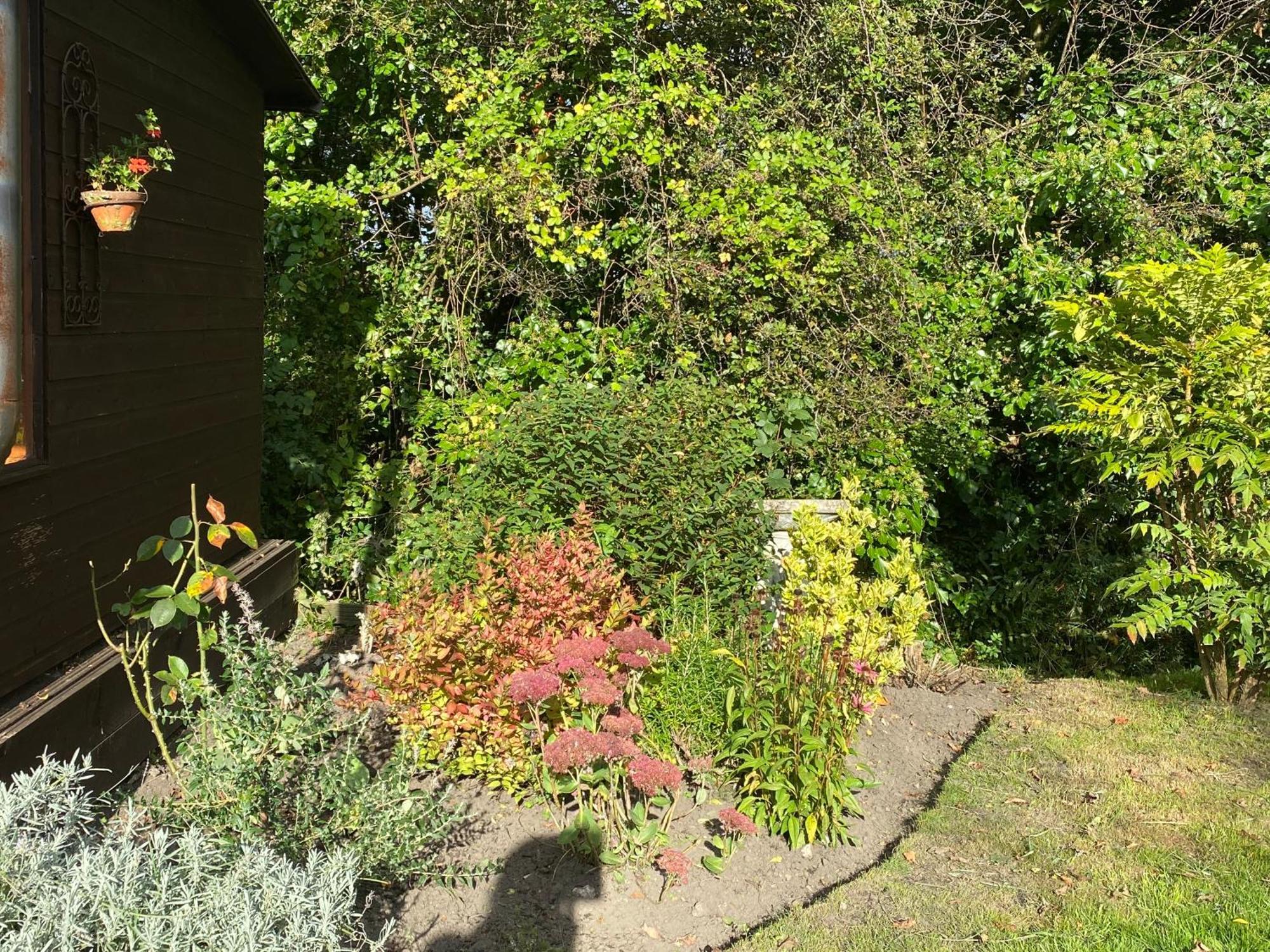 Honeysuckle Cottage Dorchester Exteriör bild